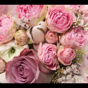 Meet your Posher, Jill